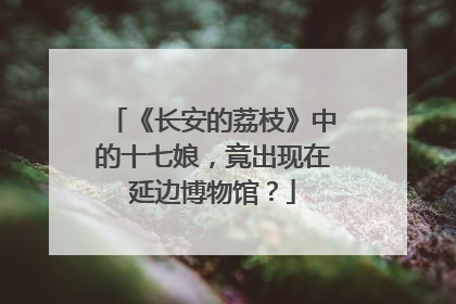 《长安的荔枝》中的十七娘，竟出现在延边博物馆？