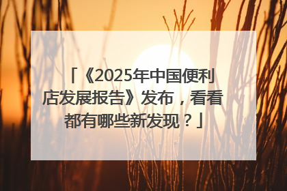 《2025年中国便利店发展报告》发布，看看都有哪些新发现？