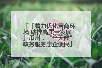「着力优化营商环境 助推高质量发展」瓜州：“全天候”政务服务惠企便民