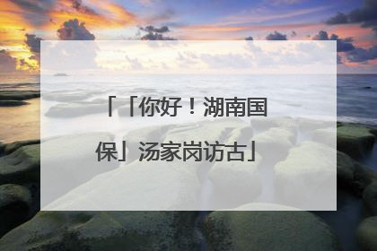 「你好！湖南国保」汤家岗访古