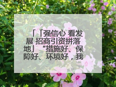 「强信心 看发展 招商引资拼落地」“措施好、保障好、环境好，我们投资有信心”——平凉工业园区医药原料绿色制造项目见闻