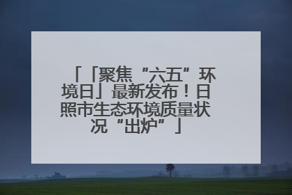 「聚焦“六五”环境日」最新发布！日照市生态环境质量状况“出炉”