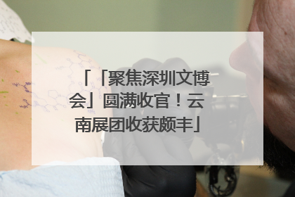 「聚焦深圳文博会」圆满收官！云南展团收获颇丰
