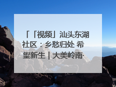 「视频」汕头东湖社区：乡愁归处 希望新生｜大美岭南·百村焕新记