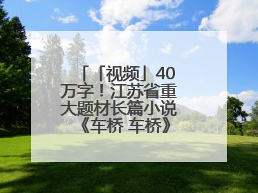 「视频」40万字！江苏省重大题材长篇小说《车桥 车桥》在淮安首发！