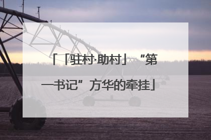 「驻村·助村」“第一书记”方华的牵挂
