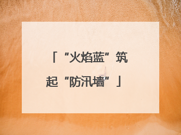 “火焰蓝”筑起“防汛墙”