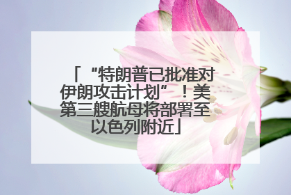 “特朗普已批准对伊朗攻击计划”！美第三艘航母将部署至以色列附近