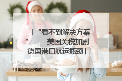 “看不到解决方案”——美国关税加剧德国港口航运瓶颈