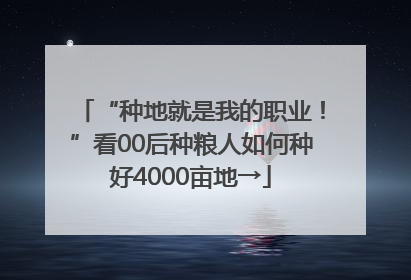 “种地就是我的职业！”看00后种粮人如何种好4000亩地→