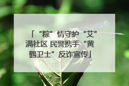 “粽”情守护“艾”满社区 民警携手“黄鹤卫士”反诈宣传