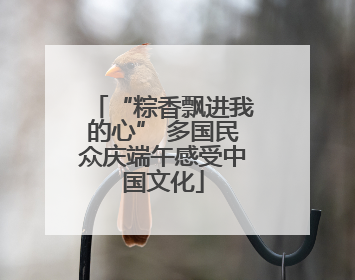“粽香飘进我的心” 多国民众庆端午感受中国文化