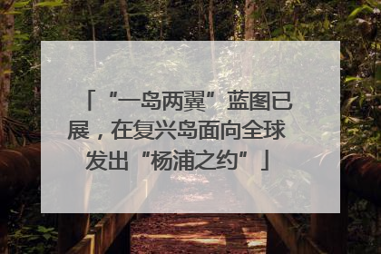 “一岛两翼”蓝图已展，在复兴岛面向全球发出“杨浦之约”