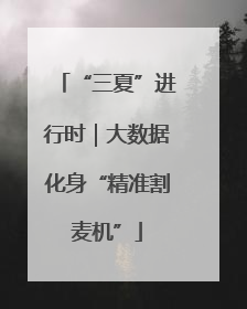 “三夏”进行时｜大数据化身“精准割麦机”