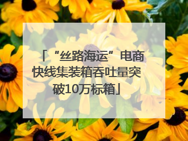 “丝路海运”电商快线集装箱吞吐量突破10万标箱