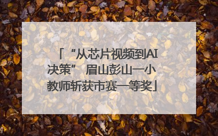 “从芯片视频到AI决策” 眉山彭山一小教师斩获市赛一等奖