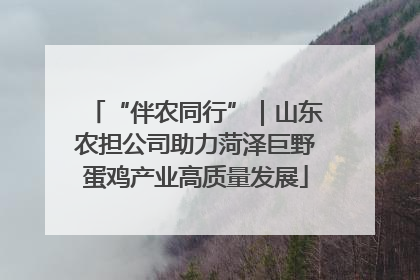 “伴农同行”｜山东农担公司助力菏泽巨野蛋鸡产业高质量发展