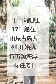 “向阳红17”船在山东青岛入列 开始执行黄渤海浮标任务