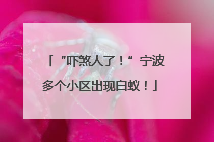 “吓煞人了！”宁波多个小区出现白蚁！
