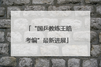 “国乒教练王皓考编”最新进展