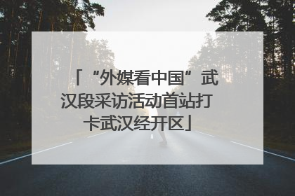 “外媒看中国”武汉段采访活动首站打卡武汉经开区