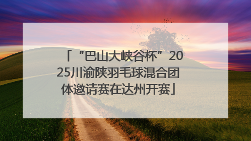 “巴山大峡谷杯”2025川渝陕羽毛球混合团体邀请赛在达州开赛