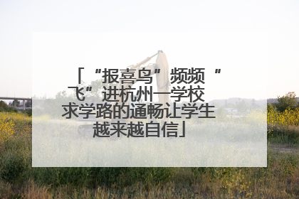 “报喜鸟”频频“飞”进杭州一学校 求学路的通畅让学生越来越自信
