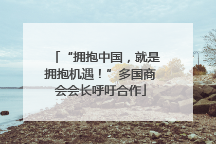 “拥抱中国，就是拥抱机遇！”多国商会会长呼吁合作