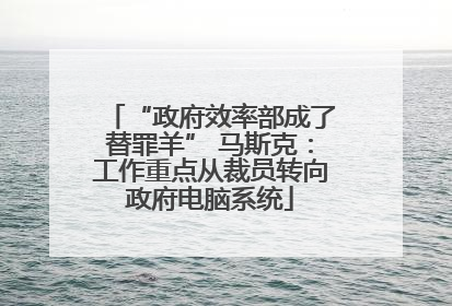 “政府效率部成了替罪羊” 马斯克：工作重点从裁员转向政府电脑系统