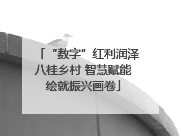 “数字”红利润泽八桂乡村 智慧赋能绘就振兴画卷
