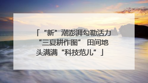 “新”潮澎湃勾勒活力“三夏耕作图” 田间地头满满“科技范儿”
