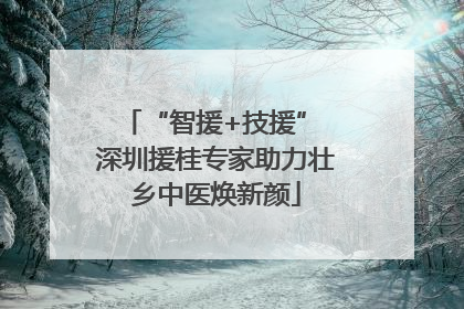 “智援+技援” 深圳援桂专家助力壮乡中医焕新颜