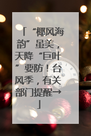 “椰风海韵”虽美，天降“巨叶”要防！台风季，有关部门提醒→