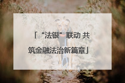 “法银”联动 共筑金融法治新篇章
