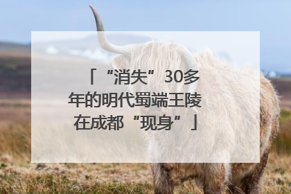 “消失”30多年的明代蜀端王陵在成都“现身”