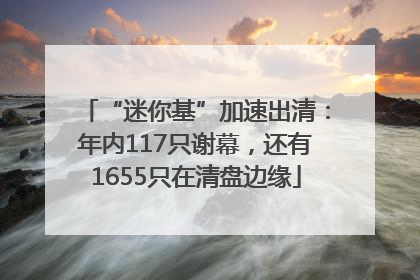 “迷你基”加速出清：年内117只谢幕，还有1655只在清盘边缘