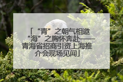 “青”之朝气相邀 “海”之胸怀奔赴——青海省招商引资上海推介会现场见闻