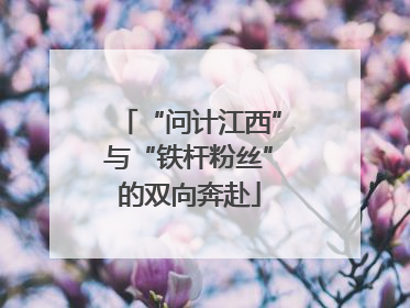 “问计江西”与“铁杆粉丝”的双向奔赴