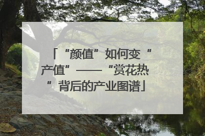 “颜值”如何变“产值”——“赏花热”背后的产业图谱