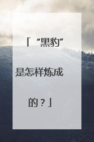 “黑豹”是怎样炼成的？