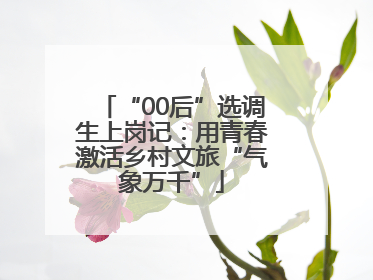 “00后”选调生上岗记：用青春激活乡村文旅“气象万千”