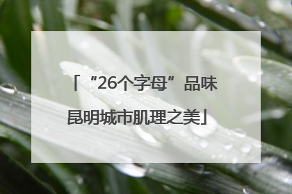 “26个字母”品味昆明城市肌理之美