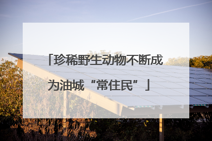 珍稀野生动物不断成为油城“常住民”