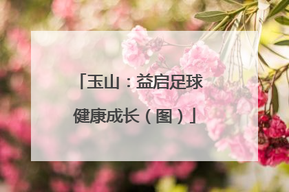 玉山：益启足球 健康成长（图）