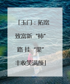 玉门：拓宽致富新“柿”路 挂“果”丰收笑满颜