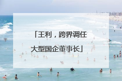 王利，跨界调任大型国企董事长