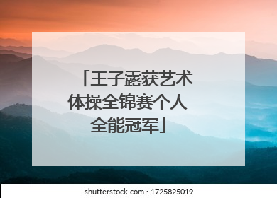 王子露获艺术体操全锦赛个人全能冠军