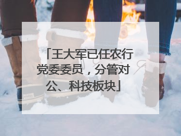王大军已任农行党委委员，分管对公、科技板块