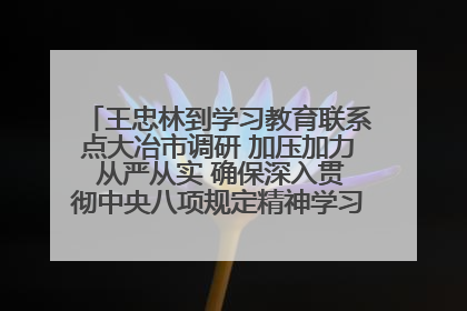 王忠林到学习教育联系点大冶市调研 加压加力 从严从实 确保深入贯彻中央八项规定精神学习教育取得实效