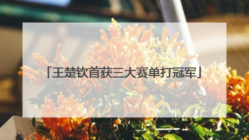 王楚钦首获三大赛单打冠军